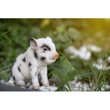 Sitting Baby Pig Statue